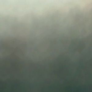 Meet your Posher, Jake